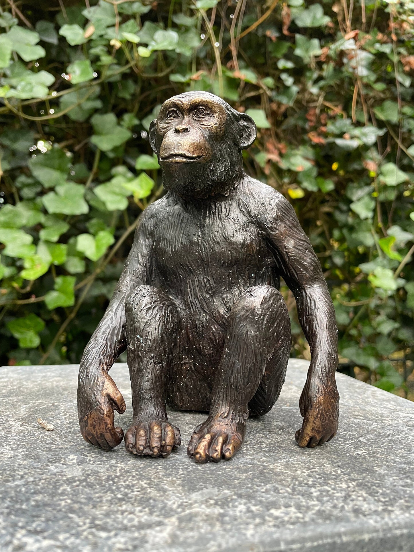 Thoughtful Monkey – Bronze Sculpture. 12x9x15cm