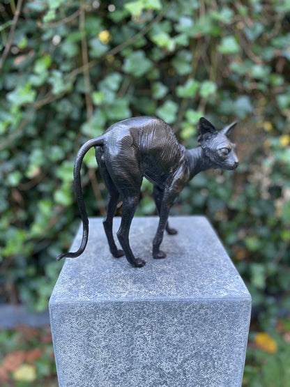 Sphynx Cat – Bronze Sculpture. 22x11x29cm - 1Kg
