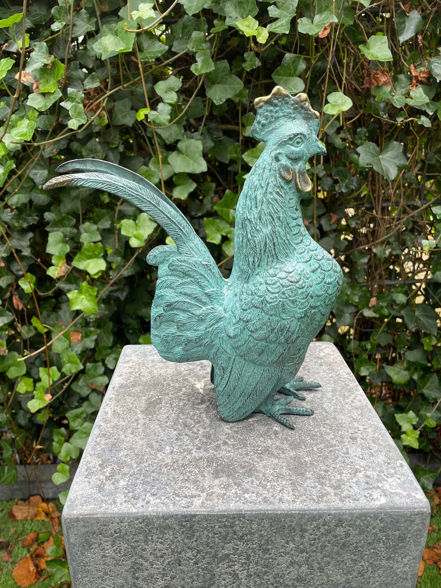 Proud Rooster – Bronze Sculpture. 23x9x27cm - 1.7Kg