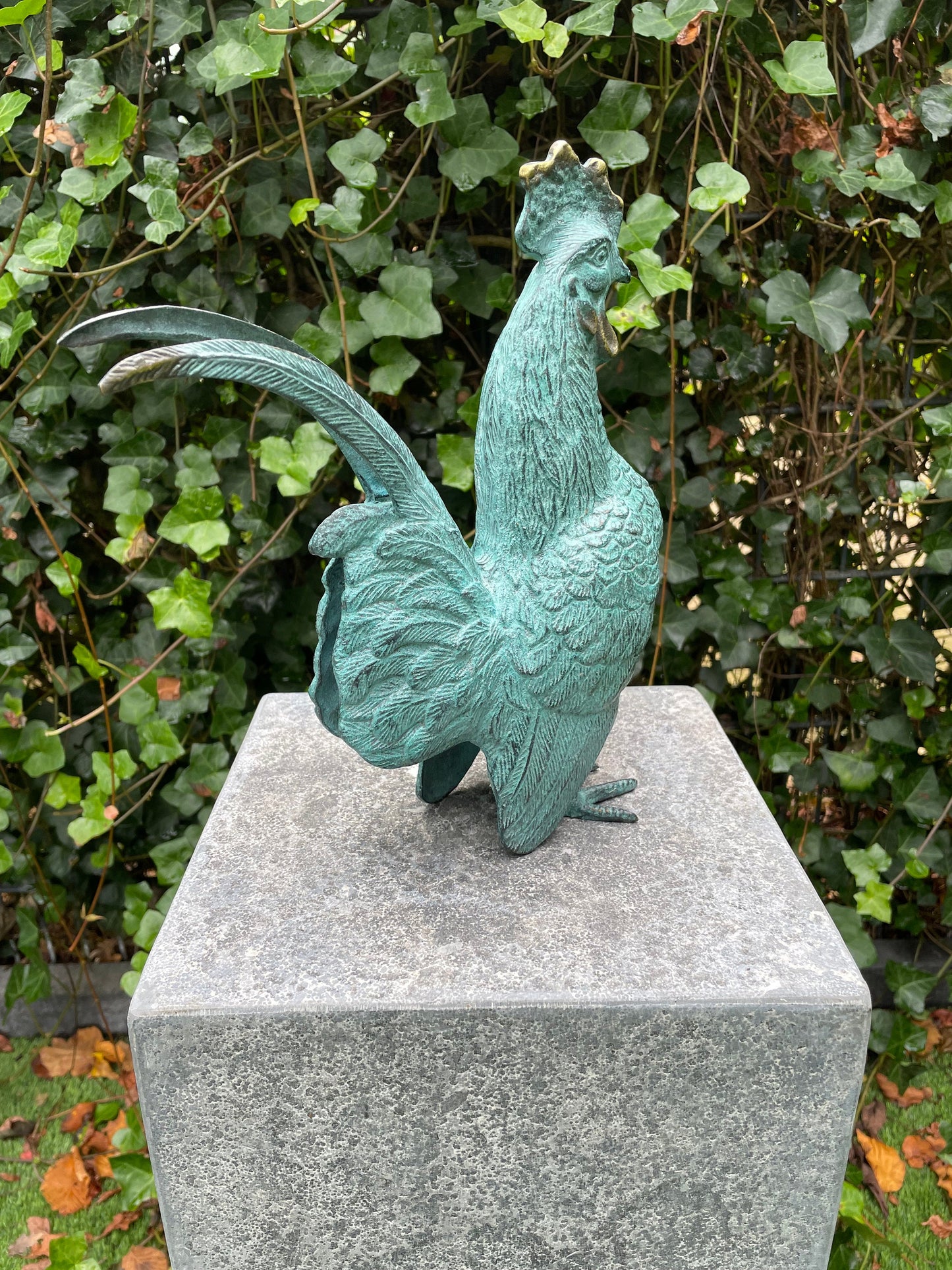 Proud Rooster – Bronze Sculpture. 23x9x27cm - 1.7Kg