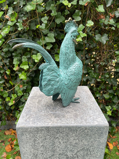Proud Rooster – Bronze Sculpture. 23x9x27cm - 1.7Kg