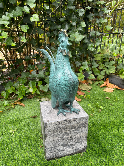 Proud Rooster – Bronze Sculpture. 23x9x27cm - 1.7Kg