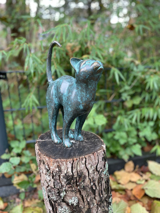 Upward Gaze Cat – Bronze Sculpture. 24x8x31cm