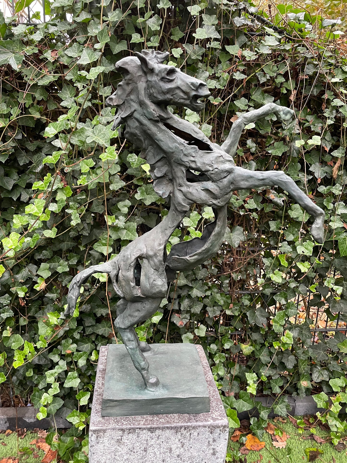 Rearing Horse – Bronze Sculpture. 64x49x18cm - 5Kg