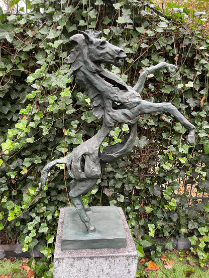 Rearing Horse – Bronze Sculpture. 64x49x18cm - 5Kg