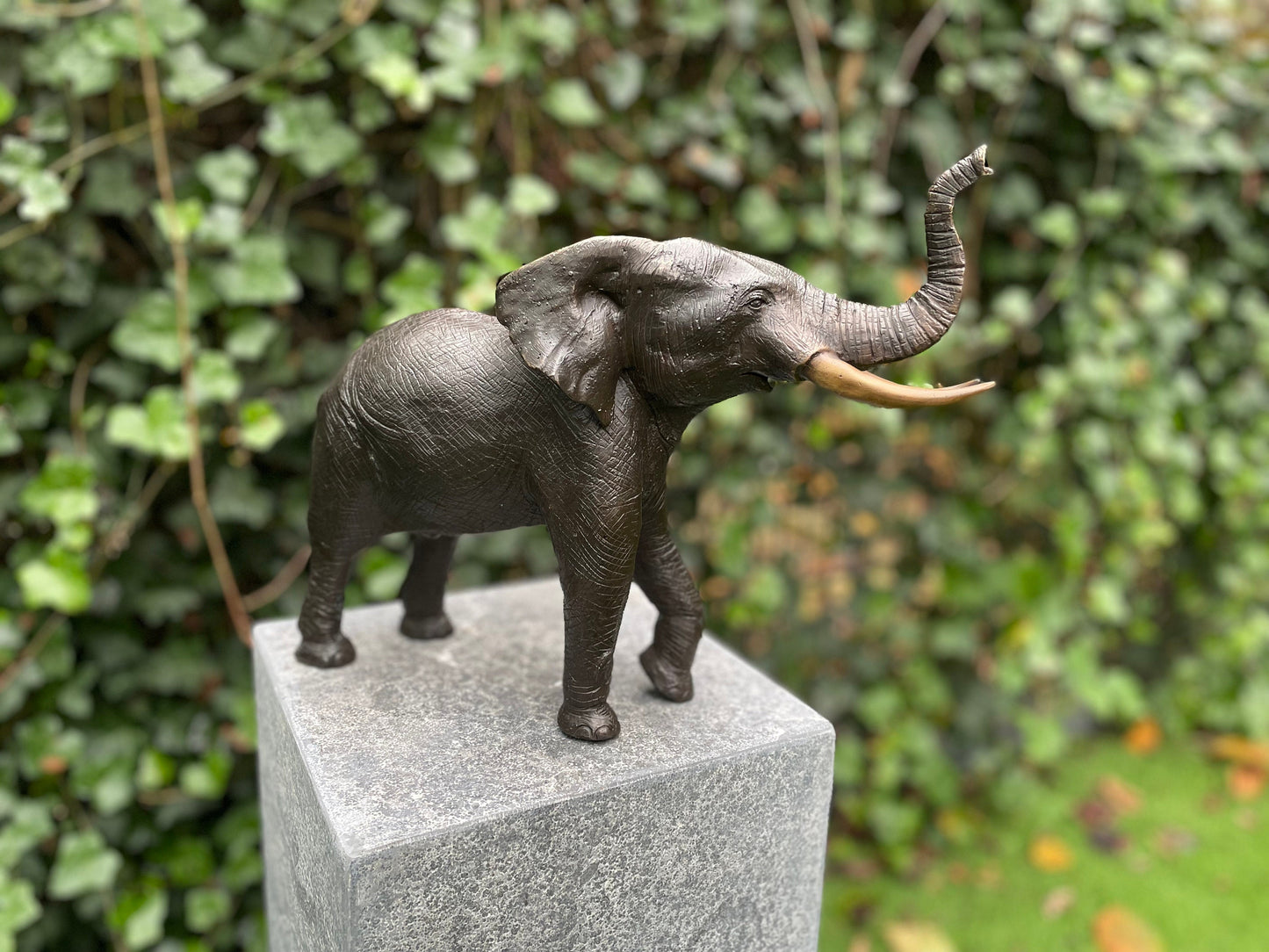 Majestic Elephant – Bronze Sculpture. 37x14x29cm