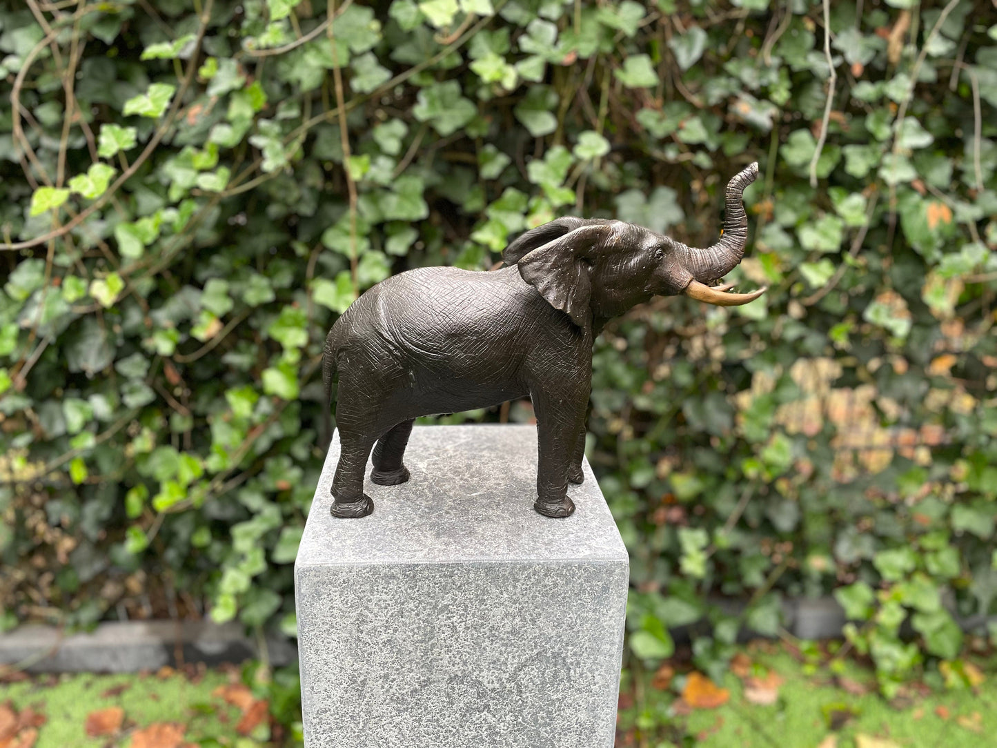 Majestic Elephant – Bronze Sculpture. 37x14x29cm