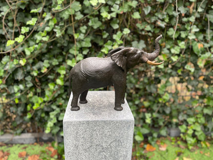 Majestic Elephant – Bronze Sculpture. 37x14x29cm