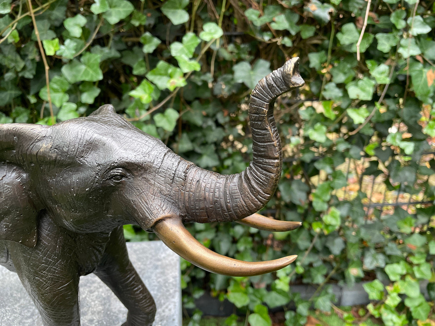 Majestic Elephant – Bronze Sculpture. 37x14x29cm