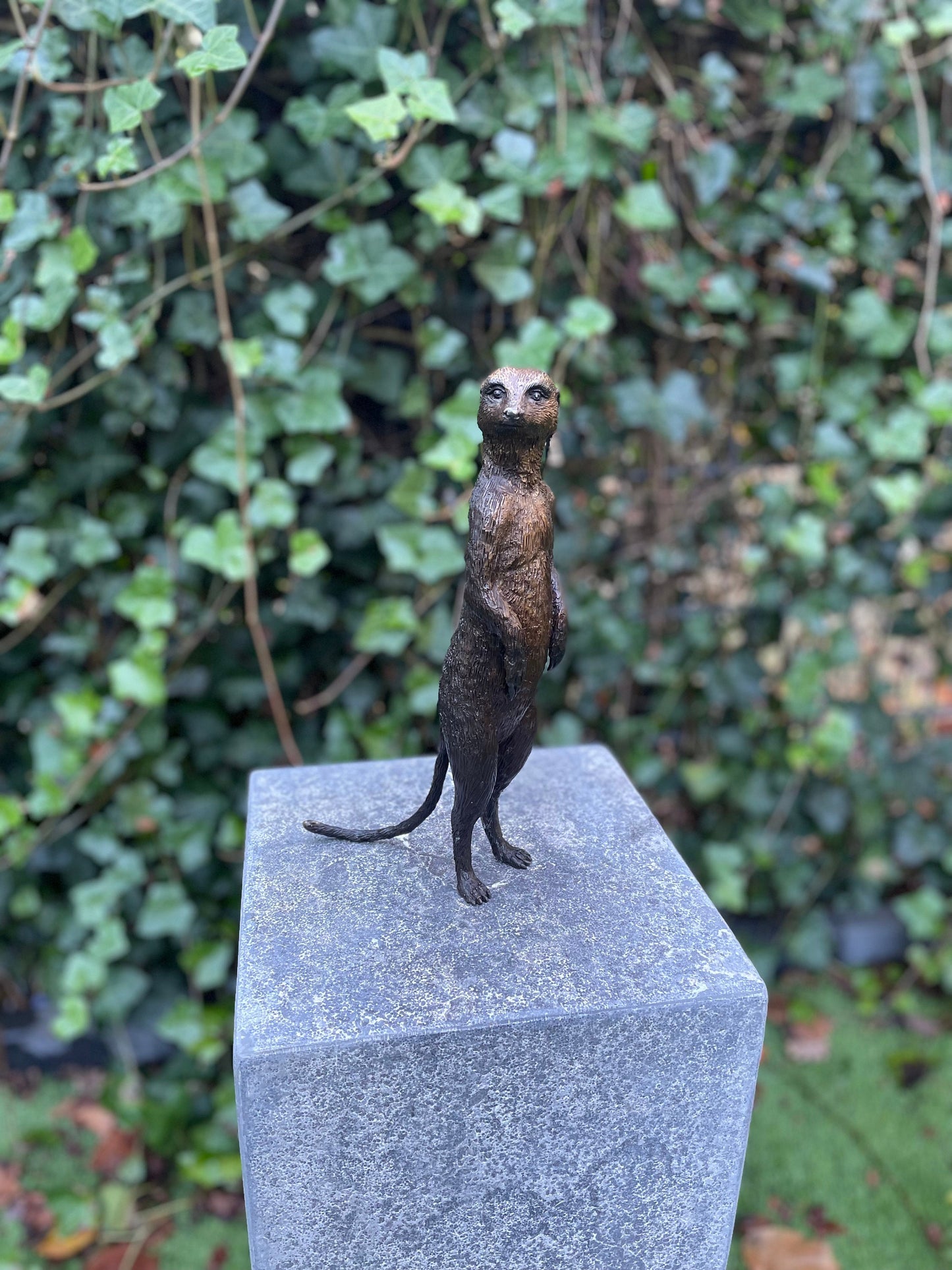 Sentinel Meerkat – Bronze Sculpture. 14x9x28cm