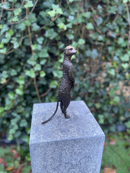Sentinel Meerkat – Bronze Sculpture. 14x9x28cm