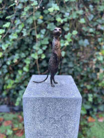 Sentinel Meerkat – Bronze Sculpture. 14x9x28cm