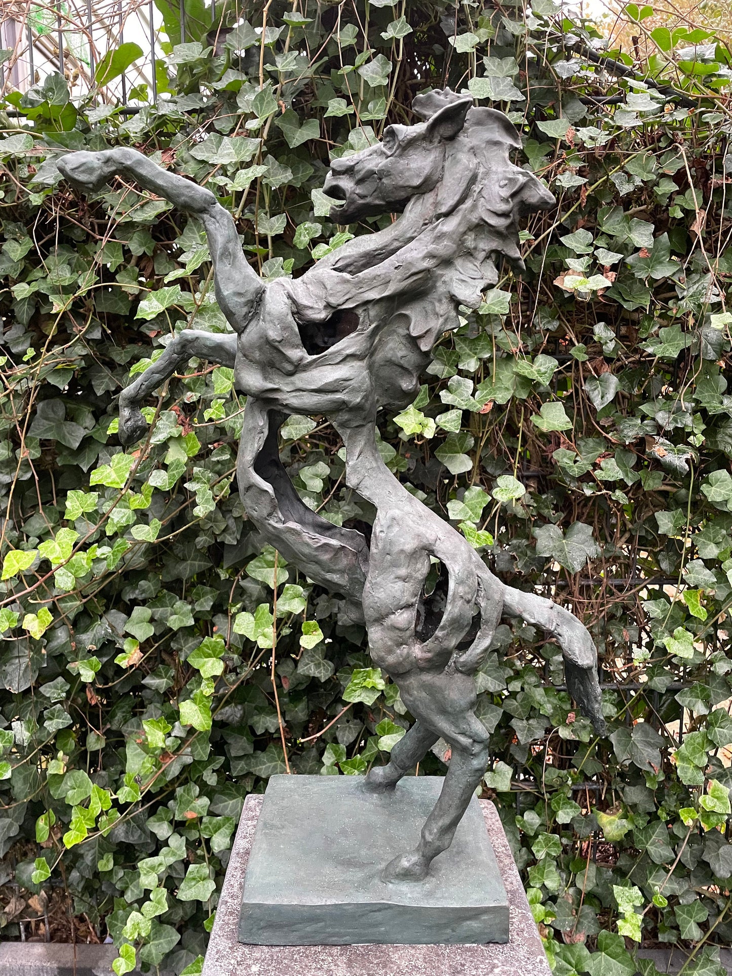 Rearing Horse – Bronze Sculpture. 64x49x18cm - 5Kg