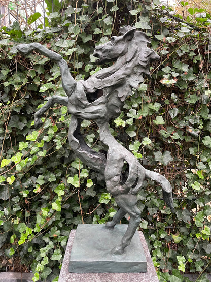 Rearing Horse – Bronze Sculpture. 64x49x18cm - 5Kg