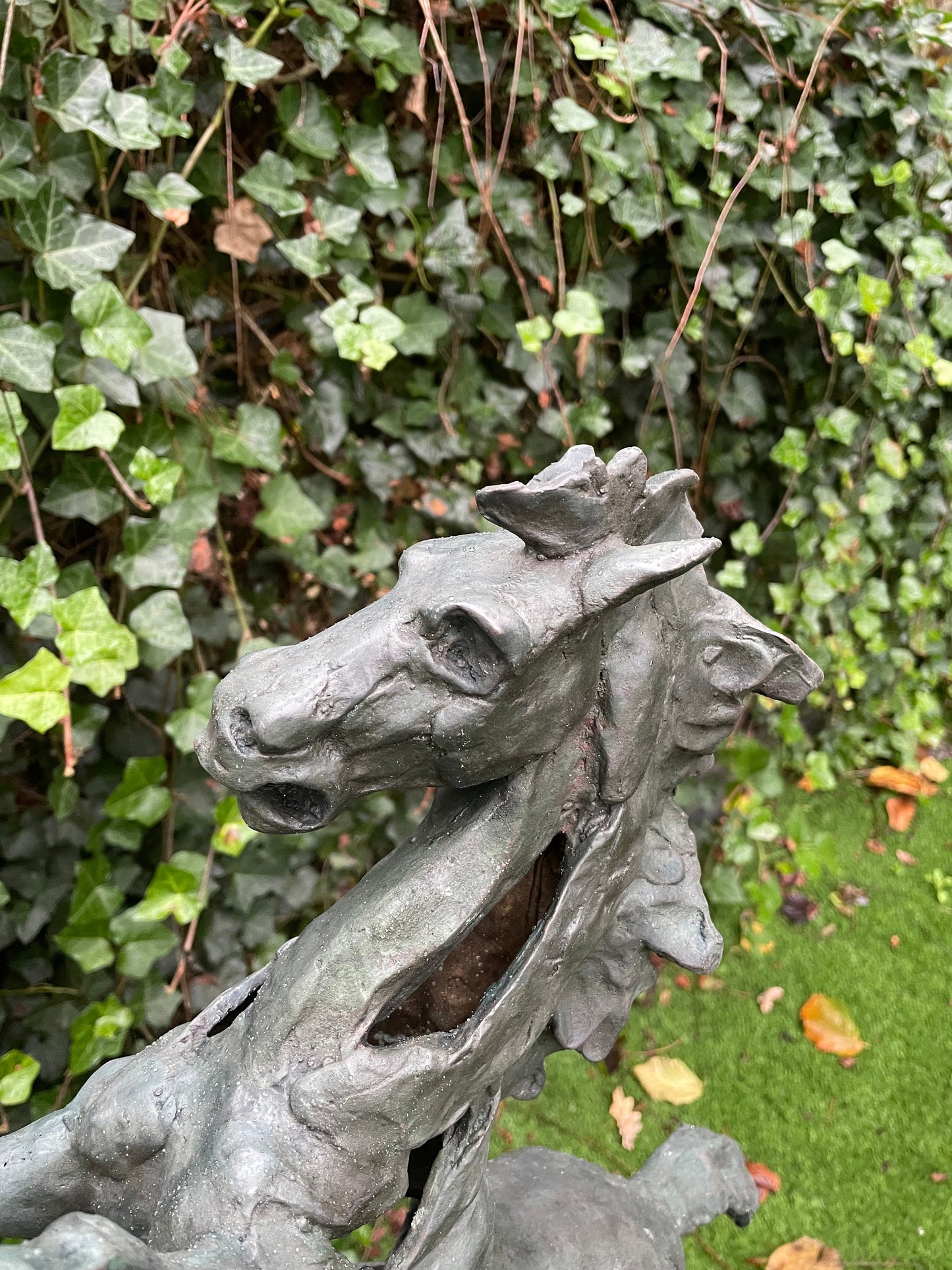 Rearing Horse – Bronze Sculpture. 64x49x18cm - 5Kg