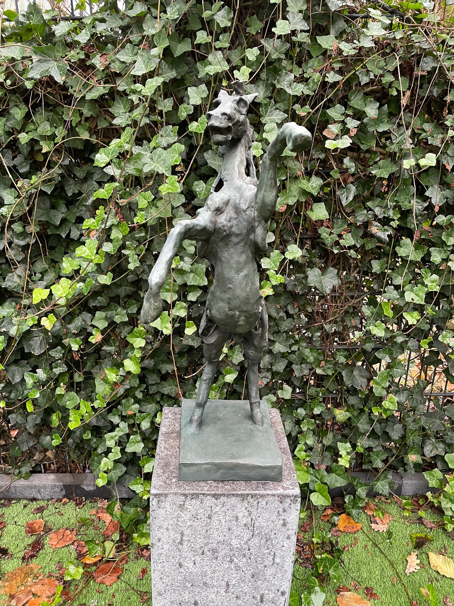 Rearing Horse – Bronze Sculpture. 64x49x18cm - 5Kg