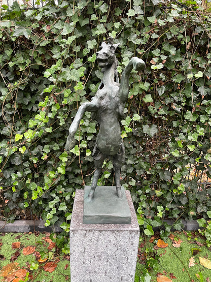 Rearing Horse – Bronze Sculpture. 64x49x18cm - 5Kg