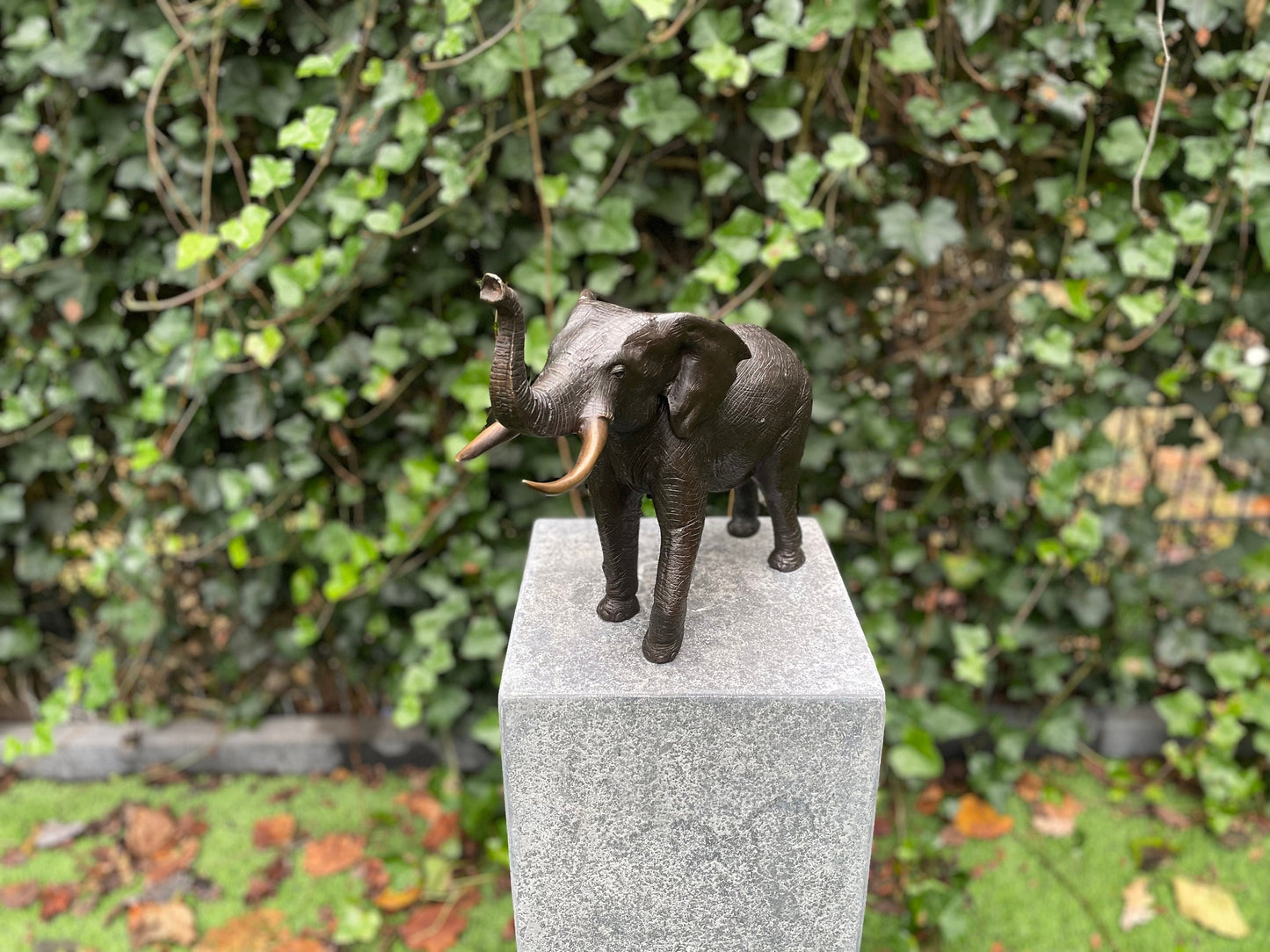 Majestic Elephant – Bronze Sculpture. 37x14x29cm