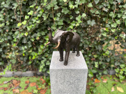 Majestic Elephant – Bronze Sculpture. 37x14x29cm