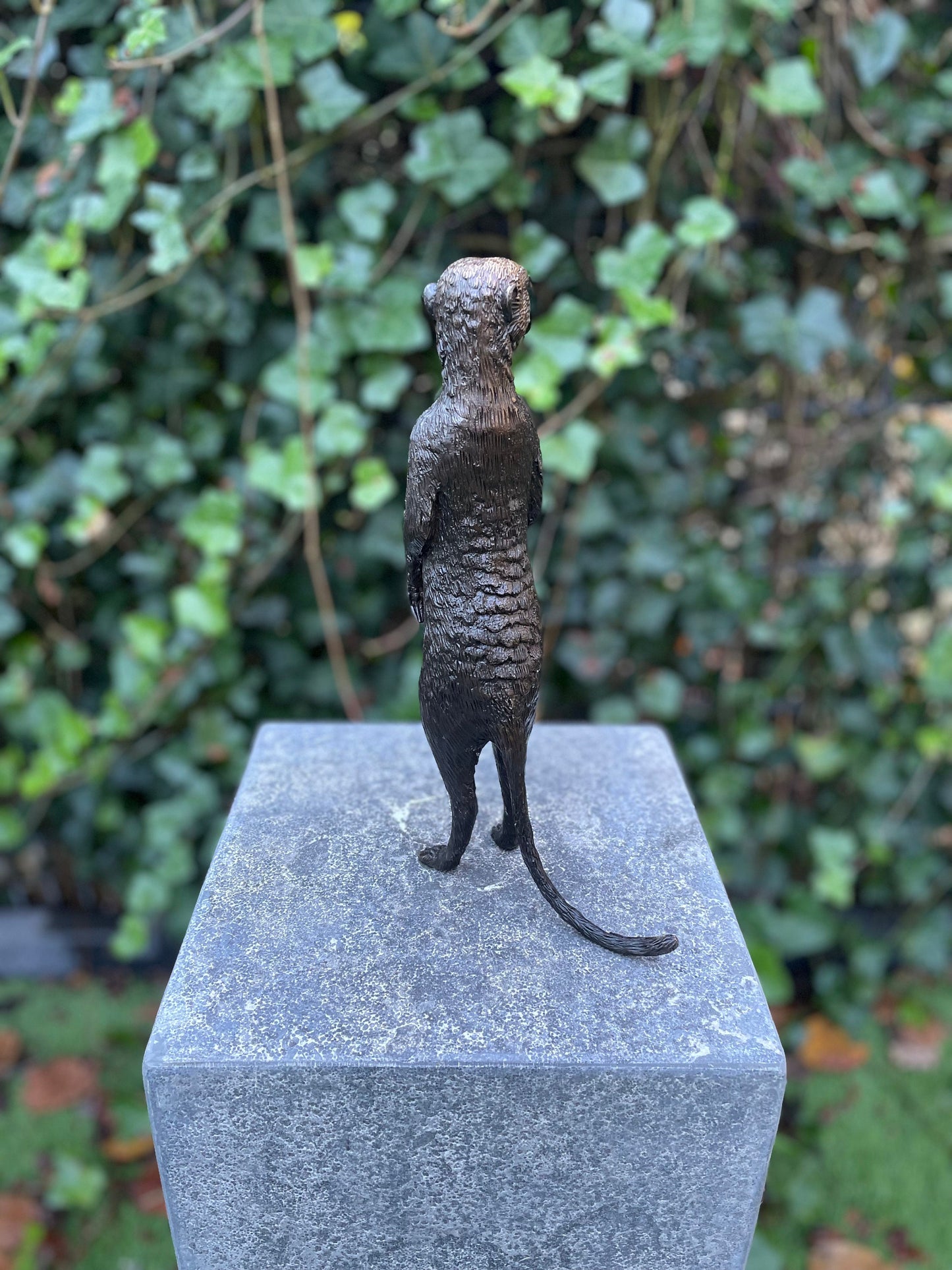 Sentinel Meerkat – Bronze Sculpture. 14x9x28cm