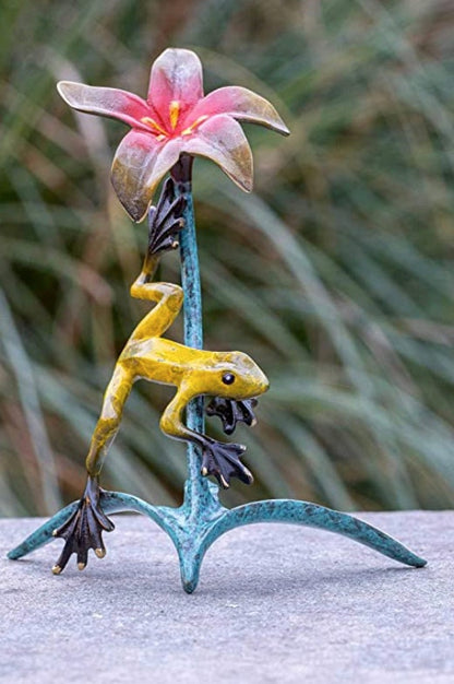 Tropical Frog and Flower – Bronze Sculpture. 13x9x20cm - 0.5Kg
