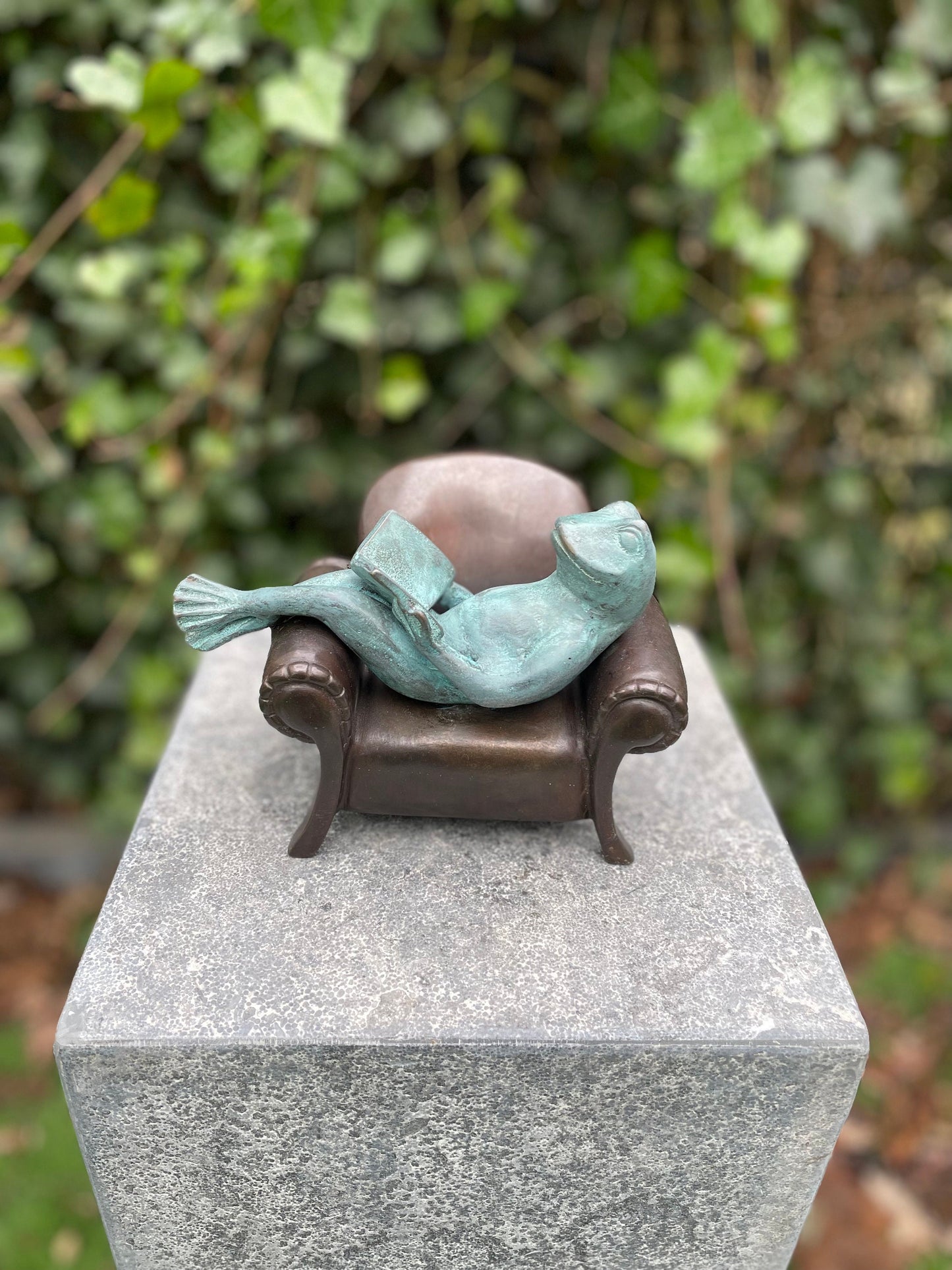 Reading Frog – Bronze Sculpture. 18x11x13cm - 2Kg