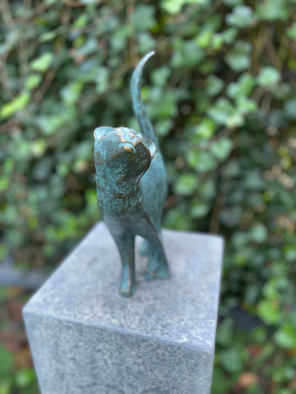 Poised Cat – Bronze Sculpture. 18x10x31cm