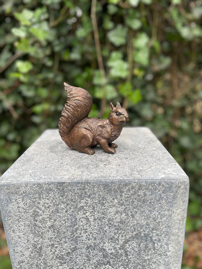 Alert Squirrel – Bronze Sculpture. 12x6x12cm - 0.7Kg