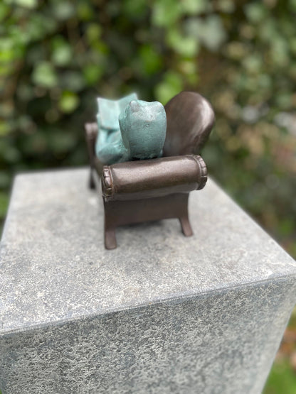 Reading Frog – Bronze Sculpture. 18x11x13cm - 2Kg