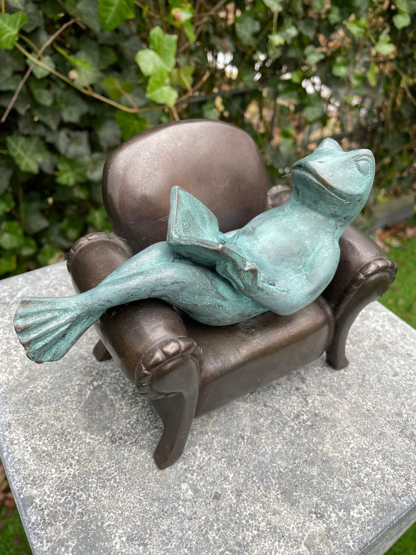 Reading Frog – Bronze Sculpture. 18x11x13cm - 2Kg
