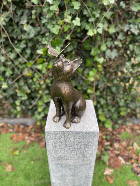 Cat with Butterfly – Bronze Sculpture. 25x16x38cm