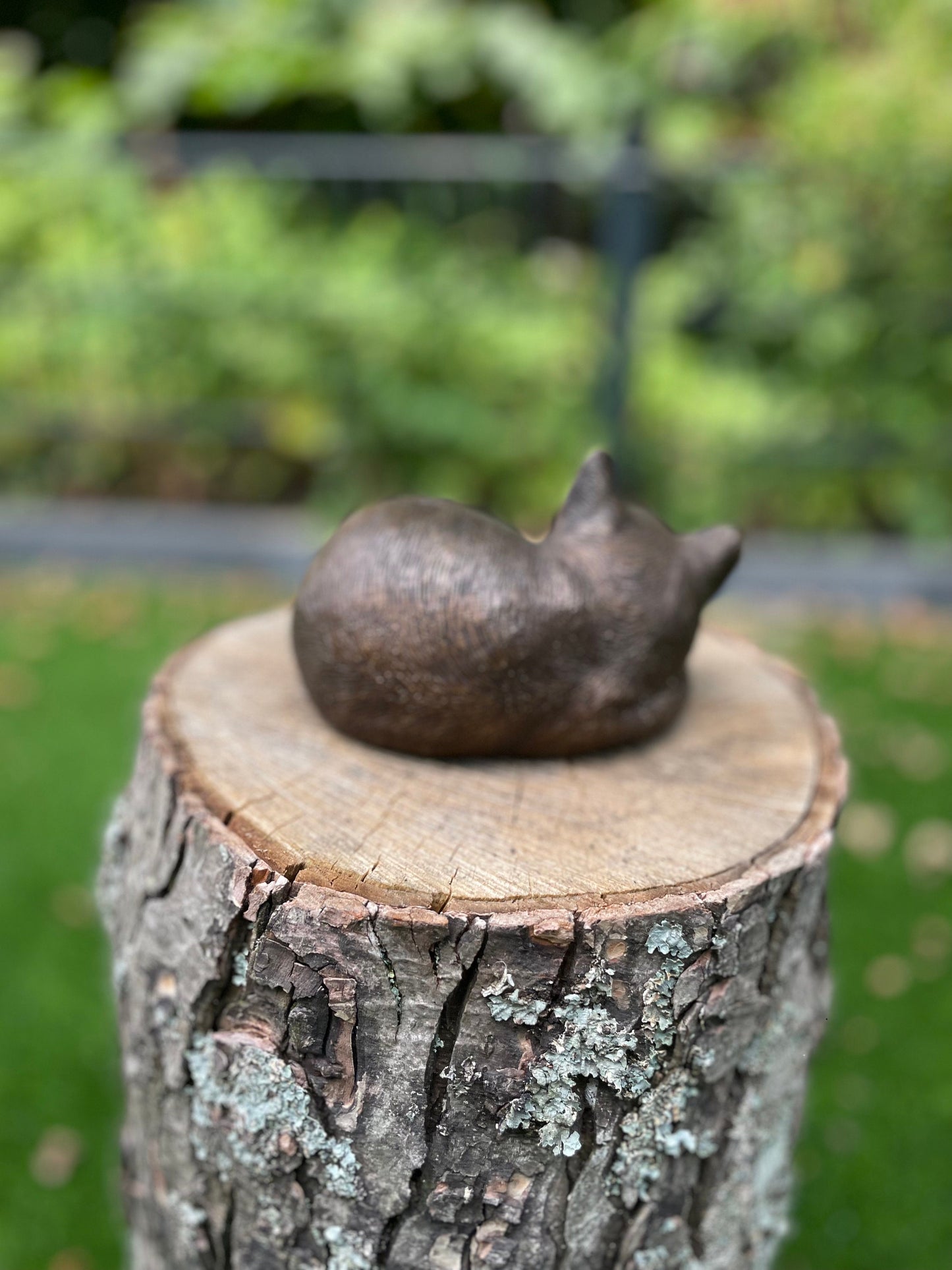 Sleeping Cat – Bronze Sculpture. 11x14x9cm