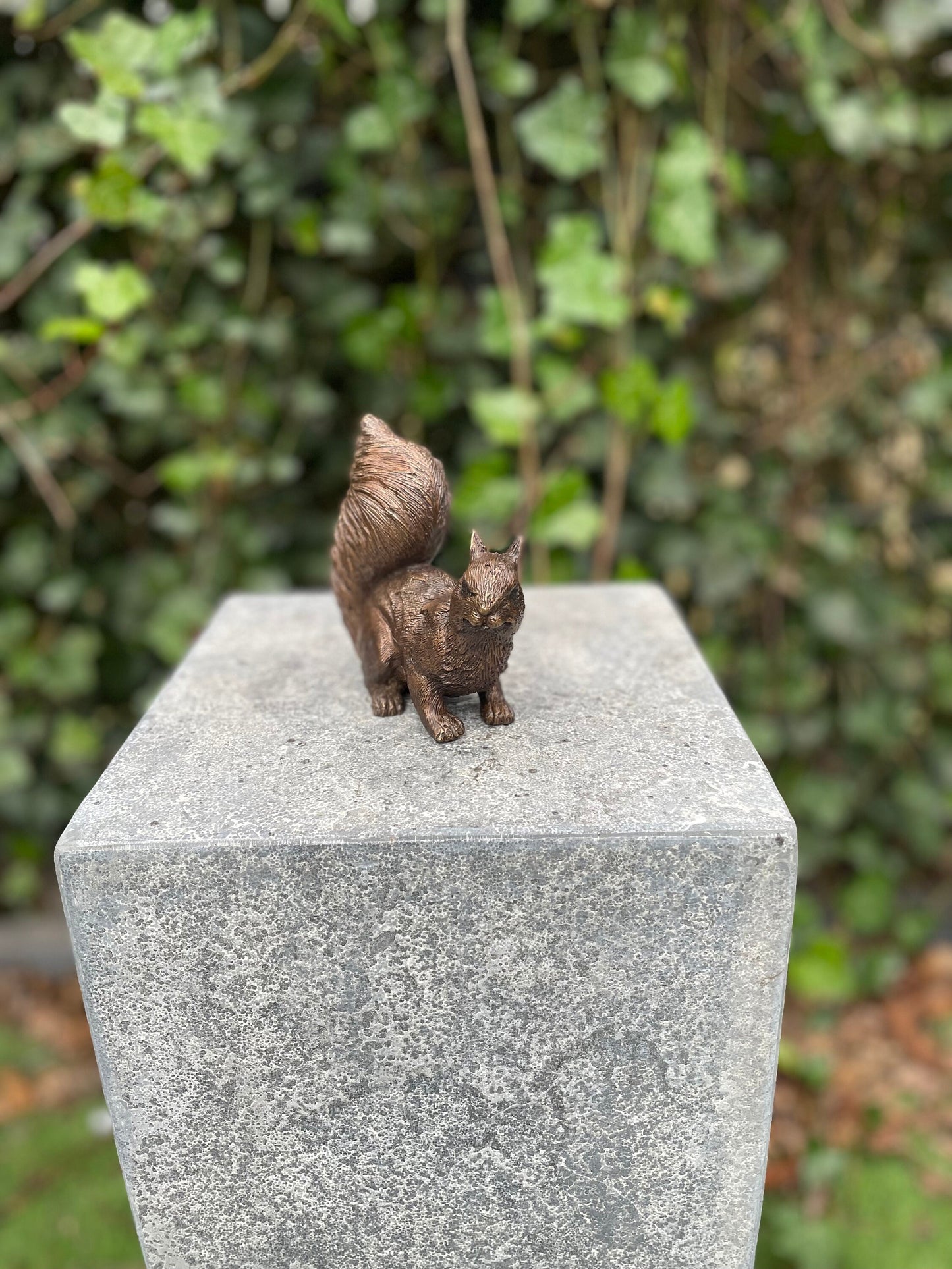 Alert Squirrel – Bronze Sculpture. 12x6x12cm - 0.7Kg