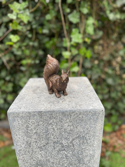 Alert Squirrel – Bronze Sculpture. 12x6x12cm - 0.7Kg