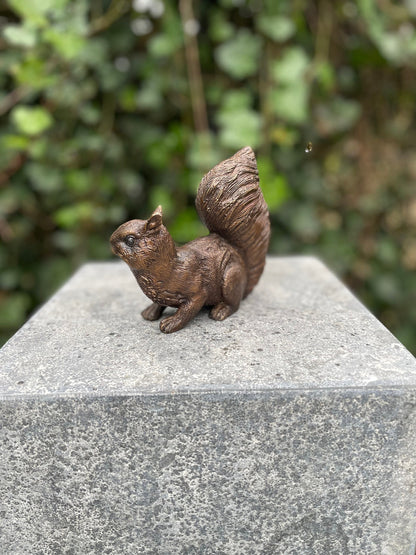Alert Squirrel – Bronze Sculpture. 12x6x12cm - 0.7Kg