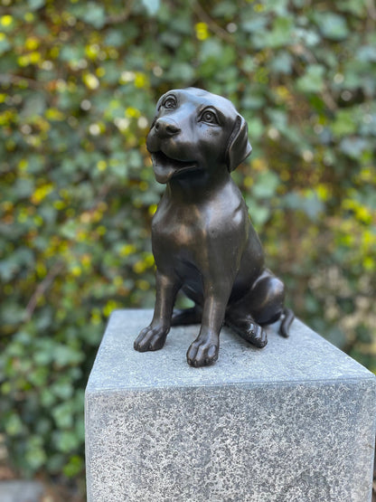 Faithful Labrador – Bronze Sculpture. 24x15x22cm - 2.7Kg