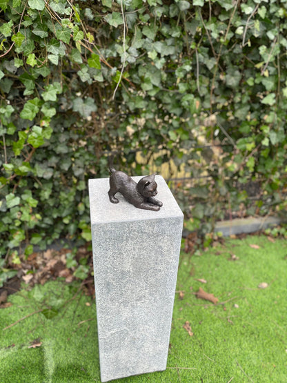 Stretching Kitten – Bronze Sculpture. 18x7x16cm - 1Kg