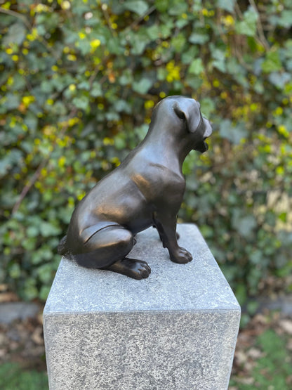 Faithful Labrador – Bronze Sculpture. 24x15x22cm - 2.7Kg