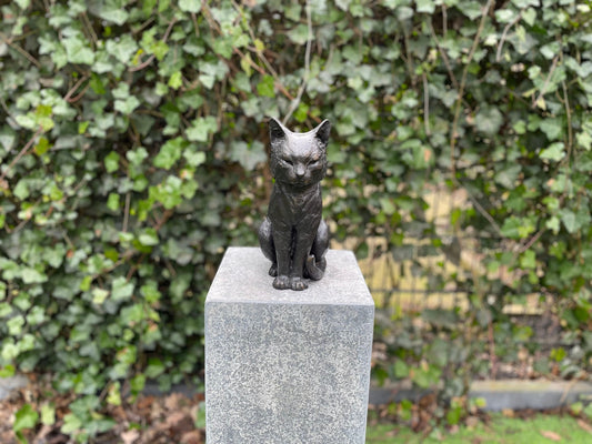 Sitting Cat – Bronze Sculpture. 19x12x27cm - 2Kg