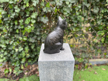 Sitting Cat – Bronze Sculpture. 19x12x27cm - 2Kg