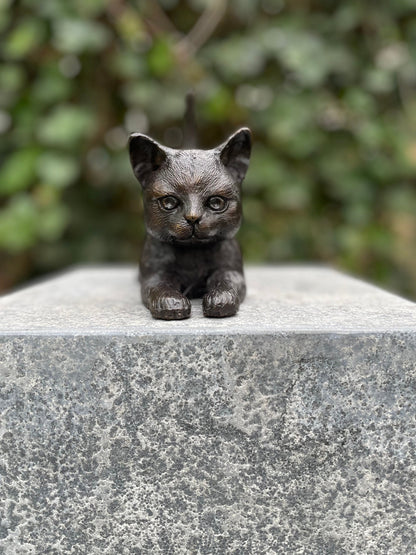 Stretching Kitten – Bronze Sculpture. 18x7x16cm - 1Kg