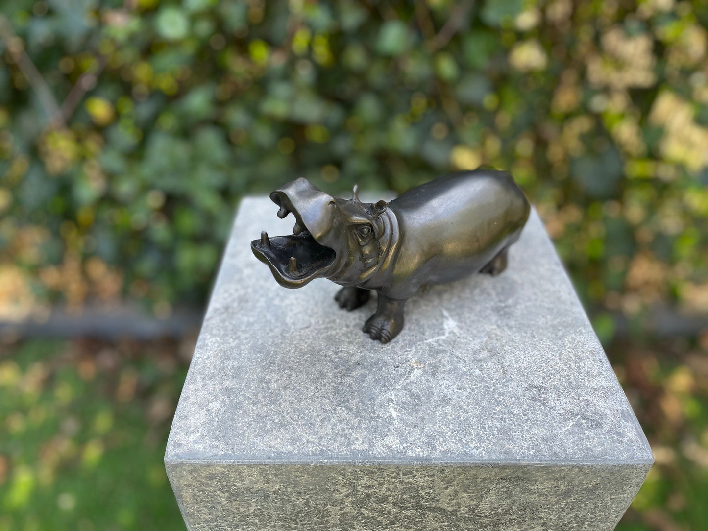 Playful Hippo – Bronze Sculpture. 20x7x12cm - 0.8Kg