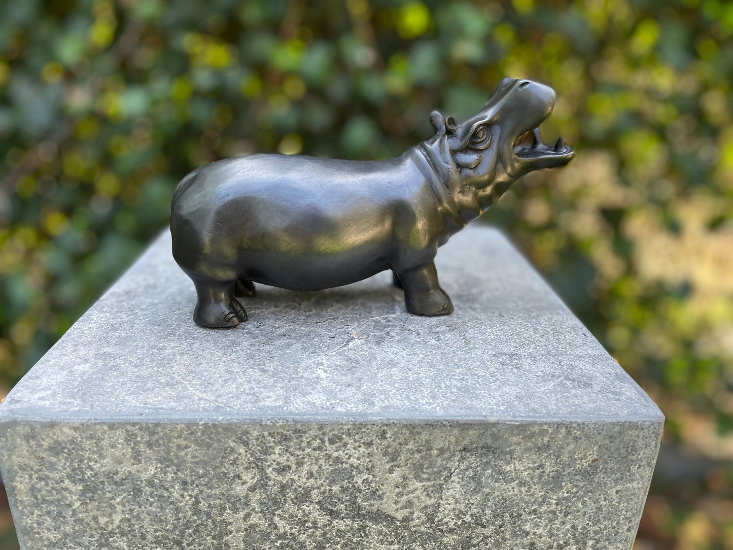 Playful Hippo – Bronze Sculpture. 20x7x12cm - 0.8Kg