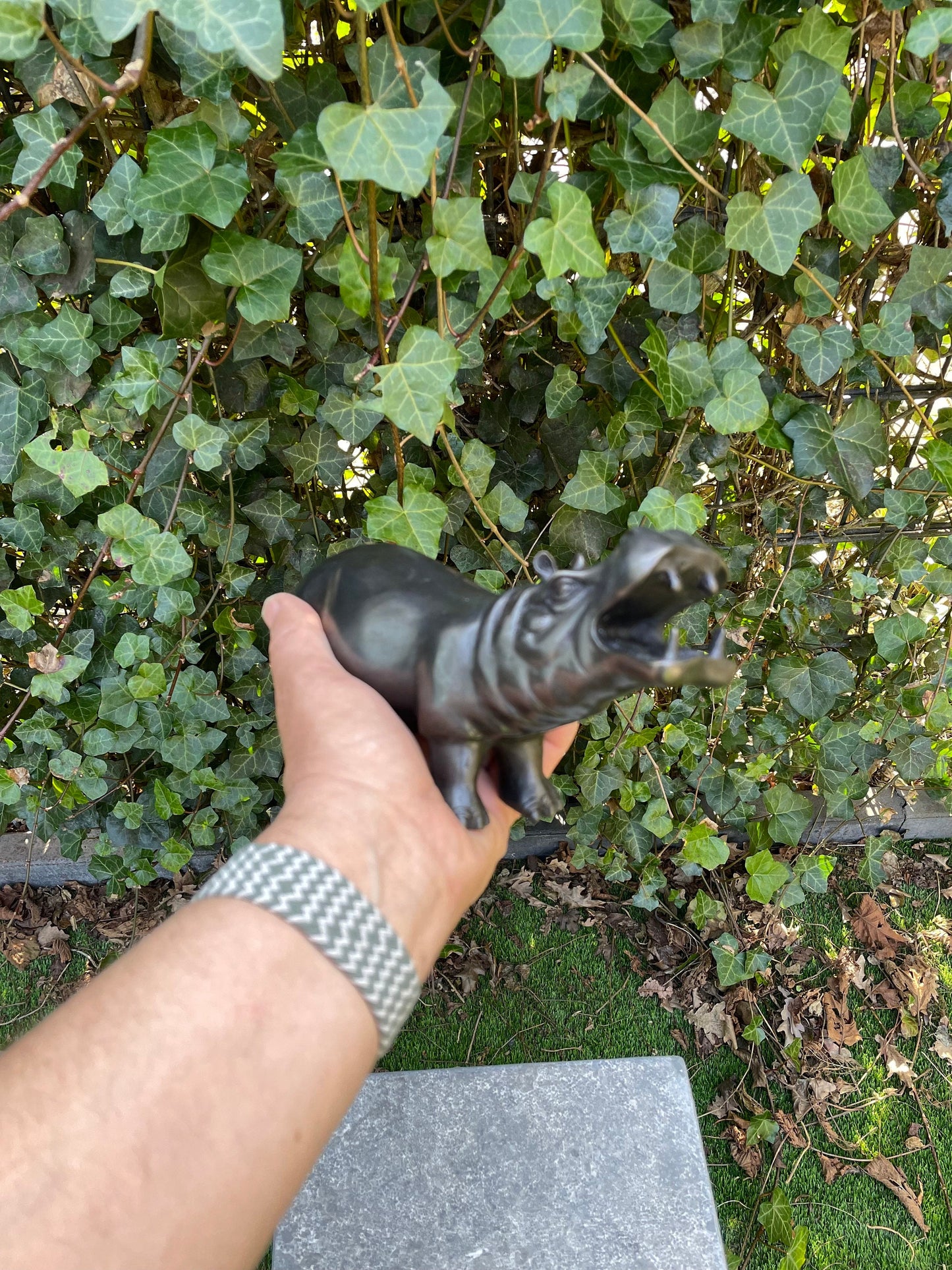 Playful Hippo – Bronze Sculpture. 20x7x12cm - 0.8Kg