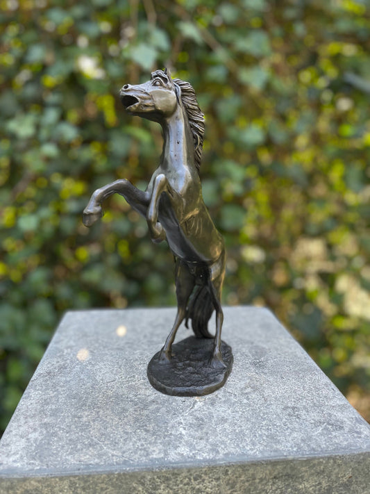 Wild Spirit – Bronze Sculpture. 19x6x24cm - 1Kg