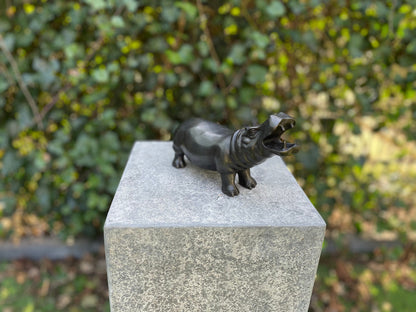 Playful Hippo – Bronze Sculpture. 20x7x12cm - 0.8Kg