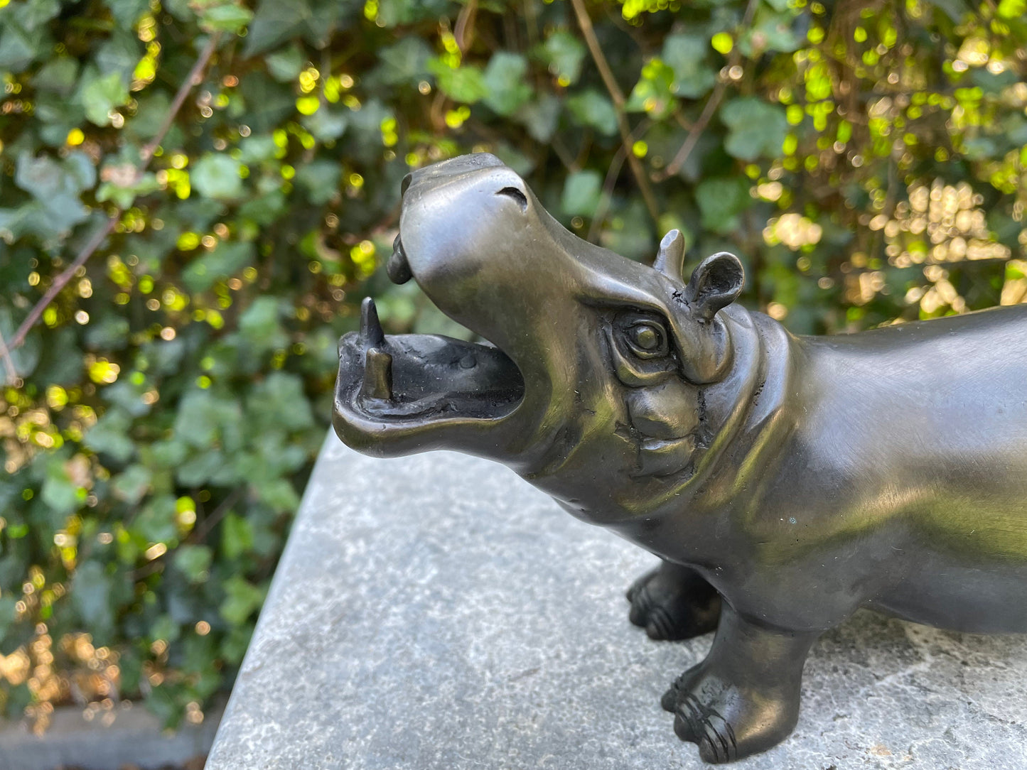 Playful Hippo – Bronze Sculpture. 20x7x12cm - 0.8Kg