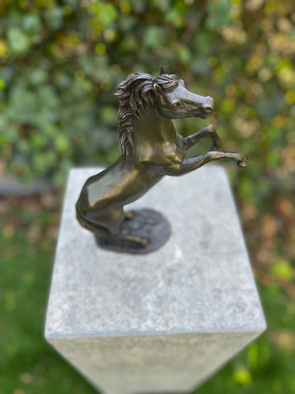 Wild Spirit – Bronze Sculpture. 19x6x24cm - 1Kg