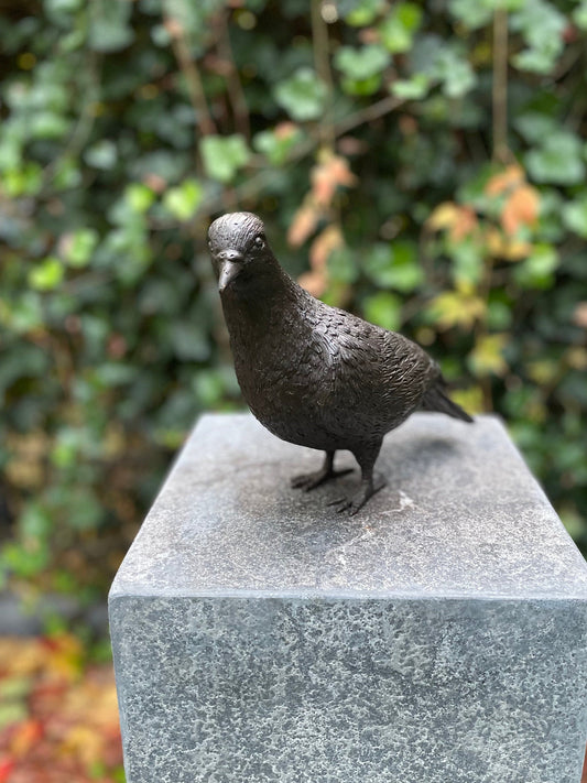 Garden Dove – Bronze Sculpture. 22x9x18cm