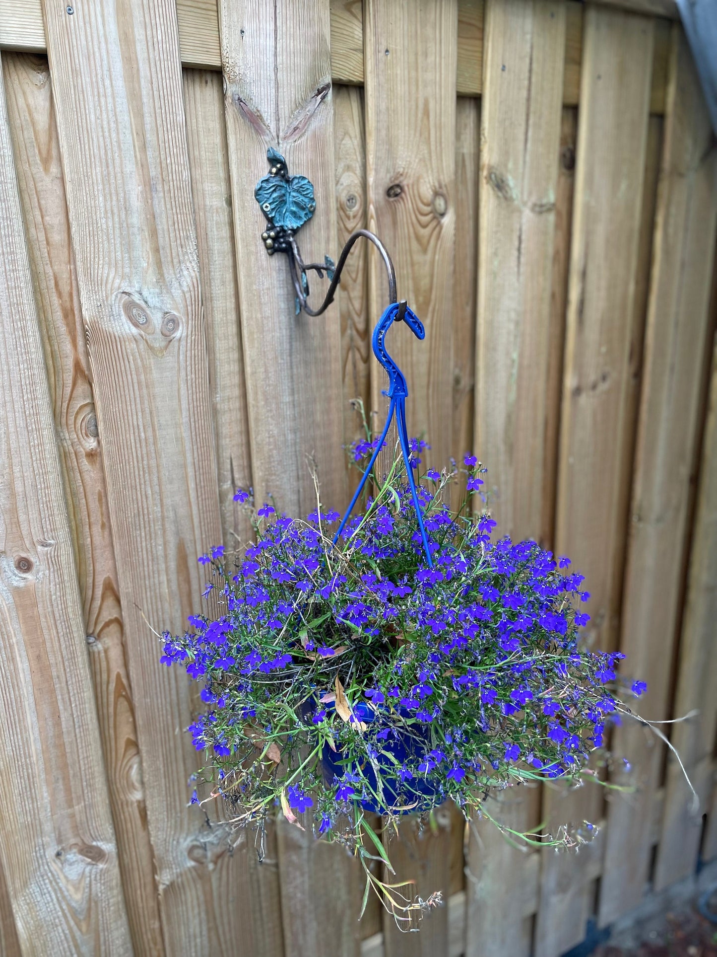 Grape Vine Wall Hook – Bronze Sculpture. 29x8x20cm - 0.4Kg